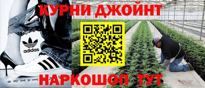 молекула духа Краснокаменск