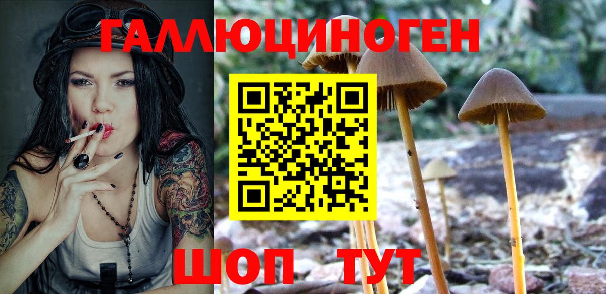 Калач-на-Дону  Псилоцибиновые грибы Psilocybine cubensis  Вход с VPN 