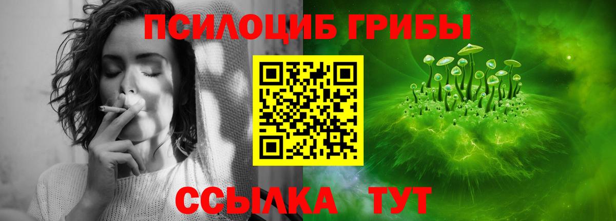 Псилоцибиновые грибы Magic Shrooms Калач-на-Дону